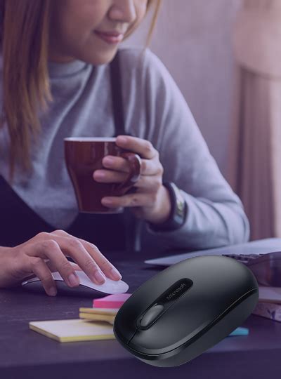 Hamster, office products, technology, furniture, back.